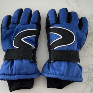 Blue and Black Winter Gloves